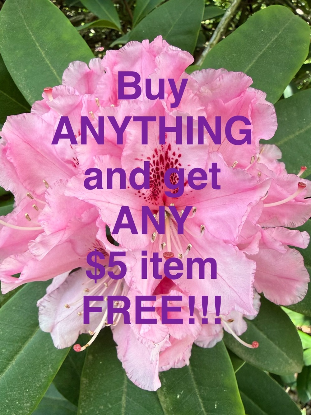 Buy Anything from My Closet and I’ll be Happy to Include any $5 Item FREE!!!